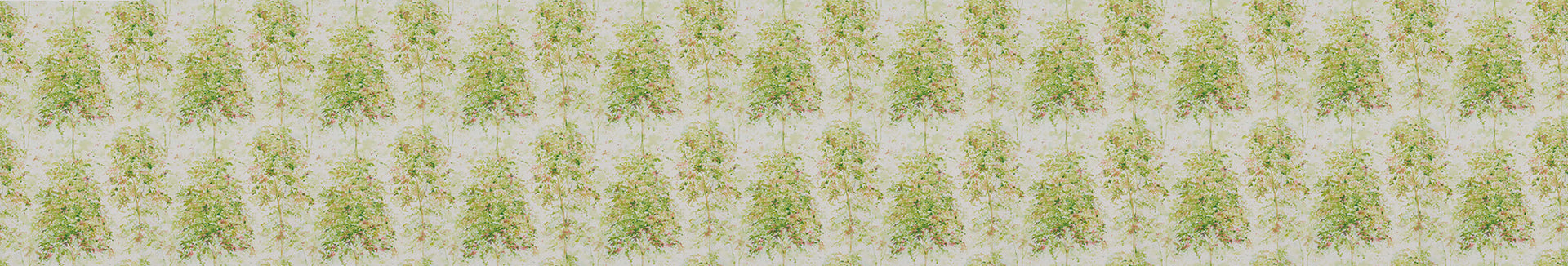 Rosslyn Wallpaper Collection
