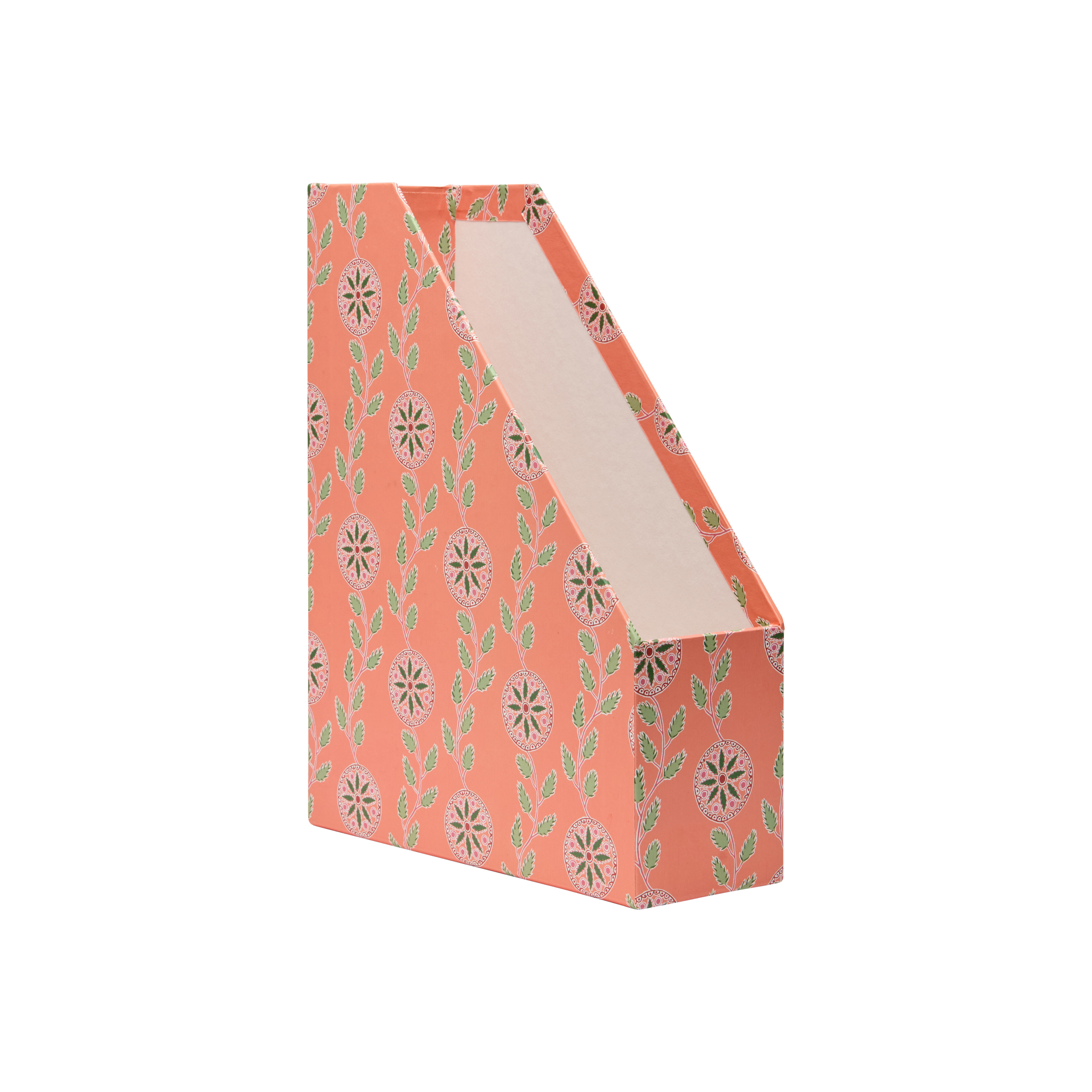 Aster Magazine File Coral