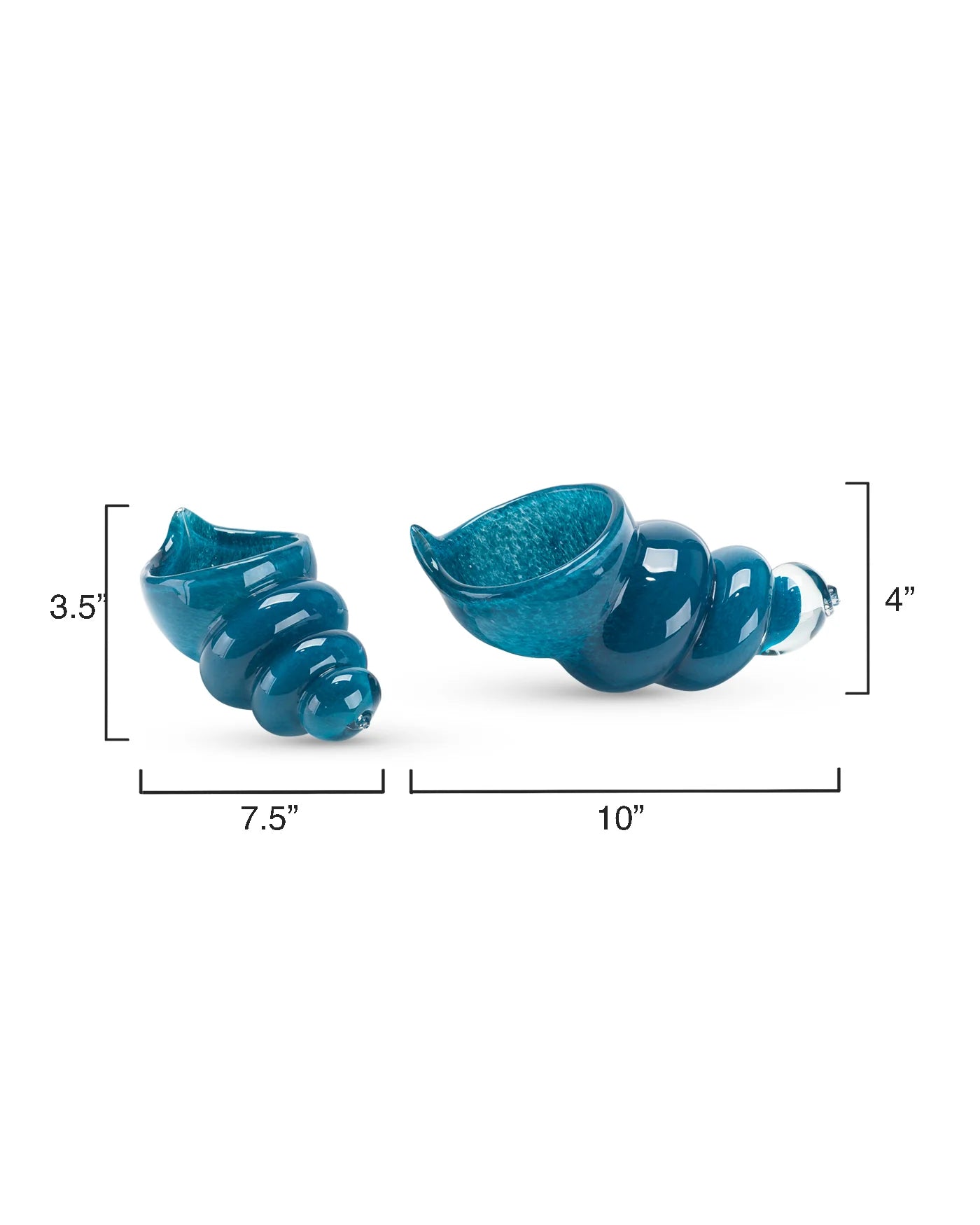 Ariel Shells Pair Blue Set of Two
