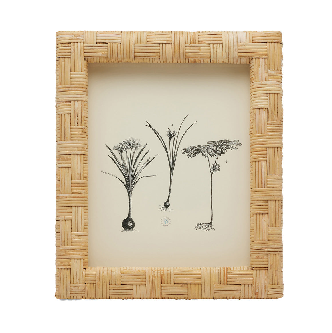 Calais Natural Cane Frame 8x10