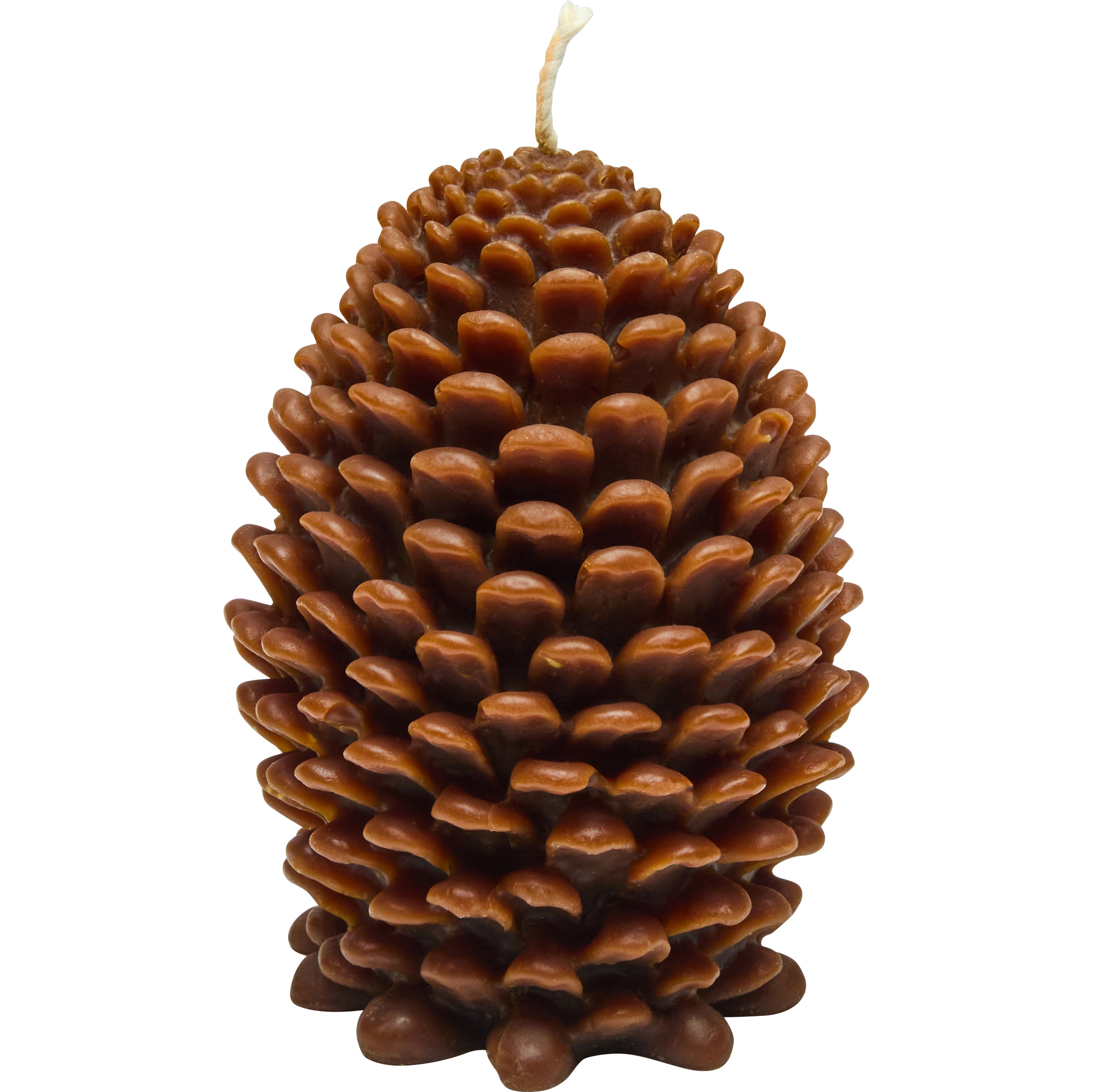 Nina Campbell pine cone candle espresso on white background
