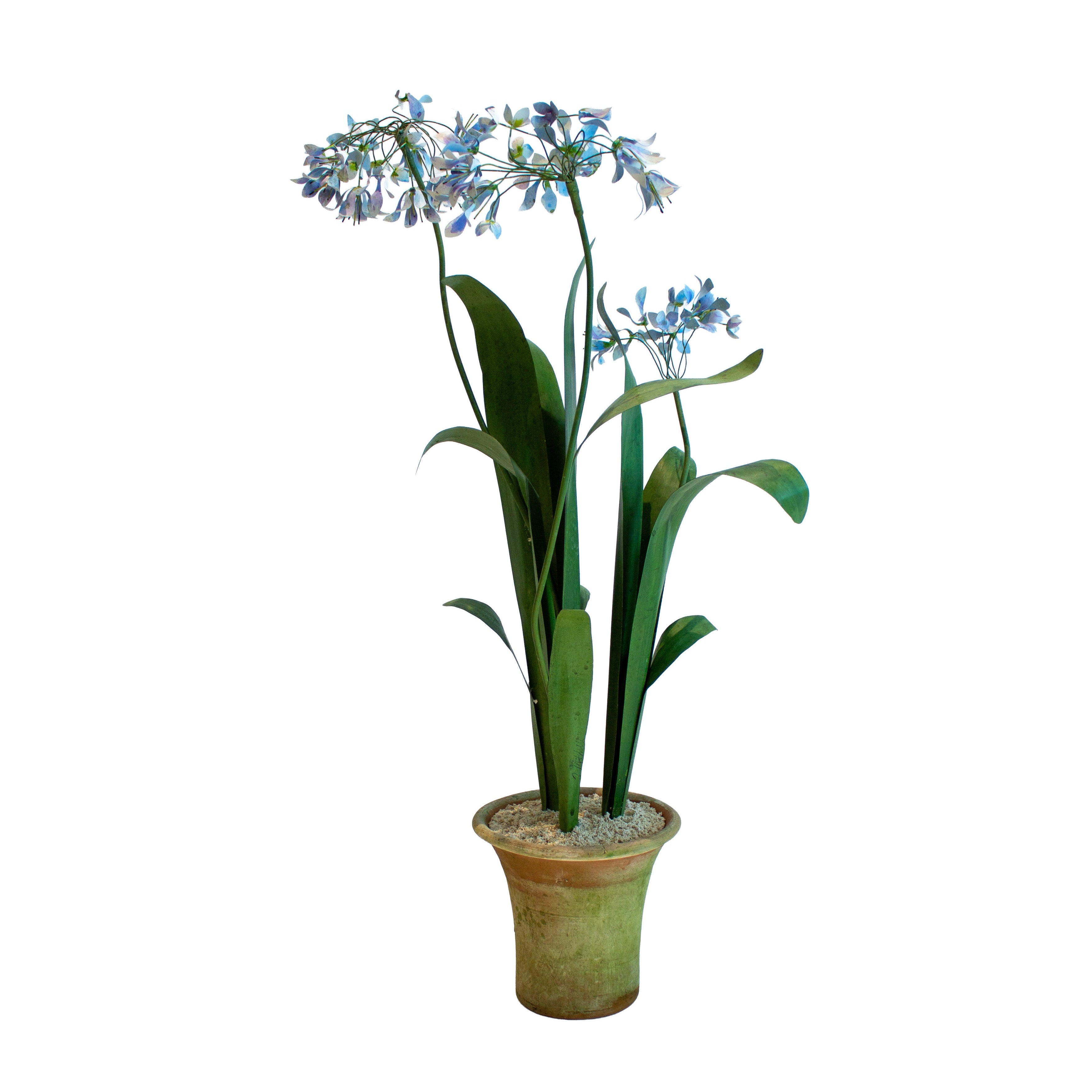 Handmade Metal Agapanthus Potted Flower