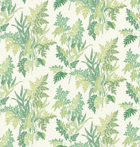 Dallimore Fern Craze Green/Lime NCF4533-01