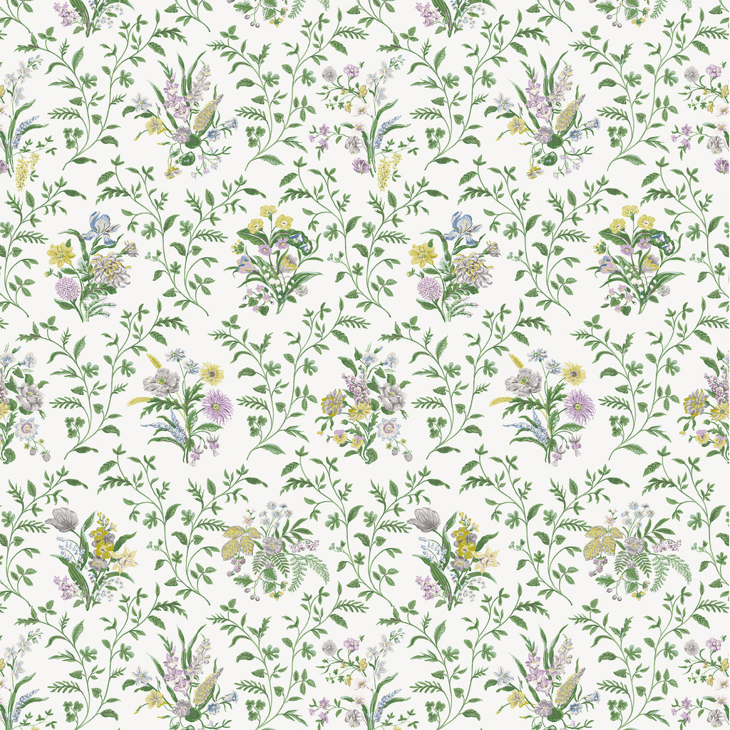 FLOWERS 春篇 ファンブック 未開封 Innocent Gray Amazon | FLOWERS Le volume sur printemps official fanbook