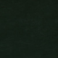 Nina Campbell Gabrielle Cyprus Fabric