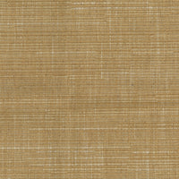 Farnaz Weaves Adria Biscuit NCF4570-08