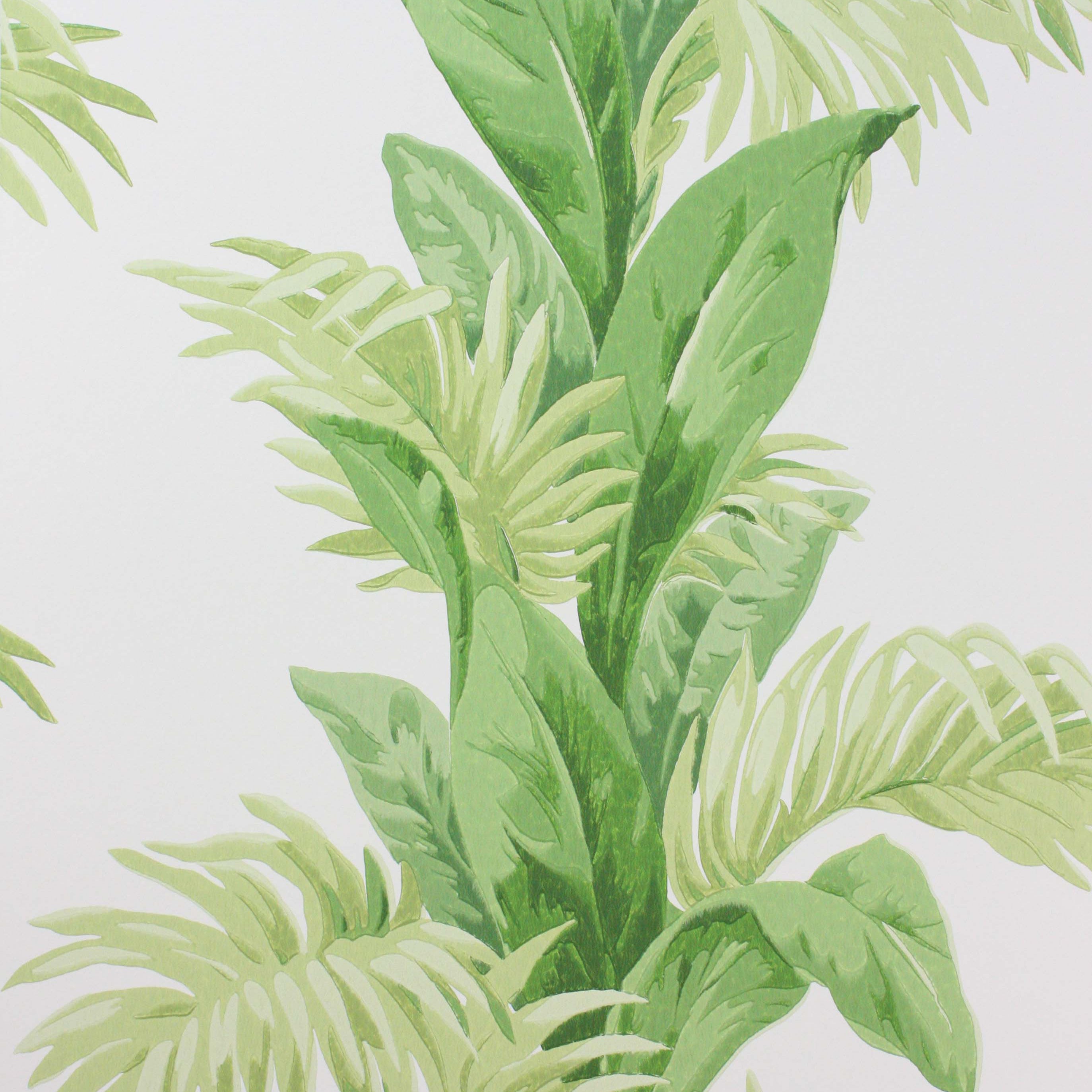 Coromandel Palmetto Green/Ivory NCW4274-01