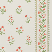 Signature Petit Dapuri NCW4493-02