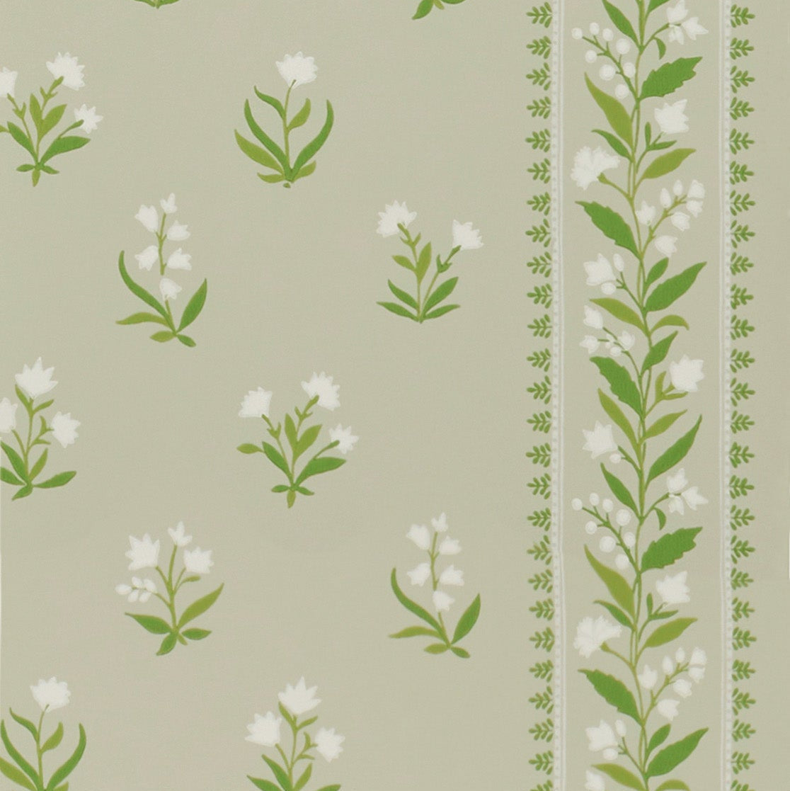 Signature Petit Dapuri NCW4493-04