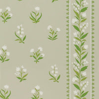 Signature Petit Dapuri NCW4493-04