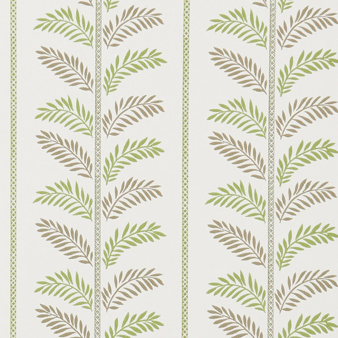 Signature Plumier NCW4496-03