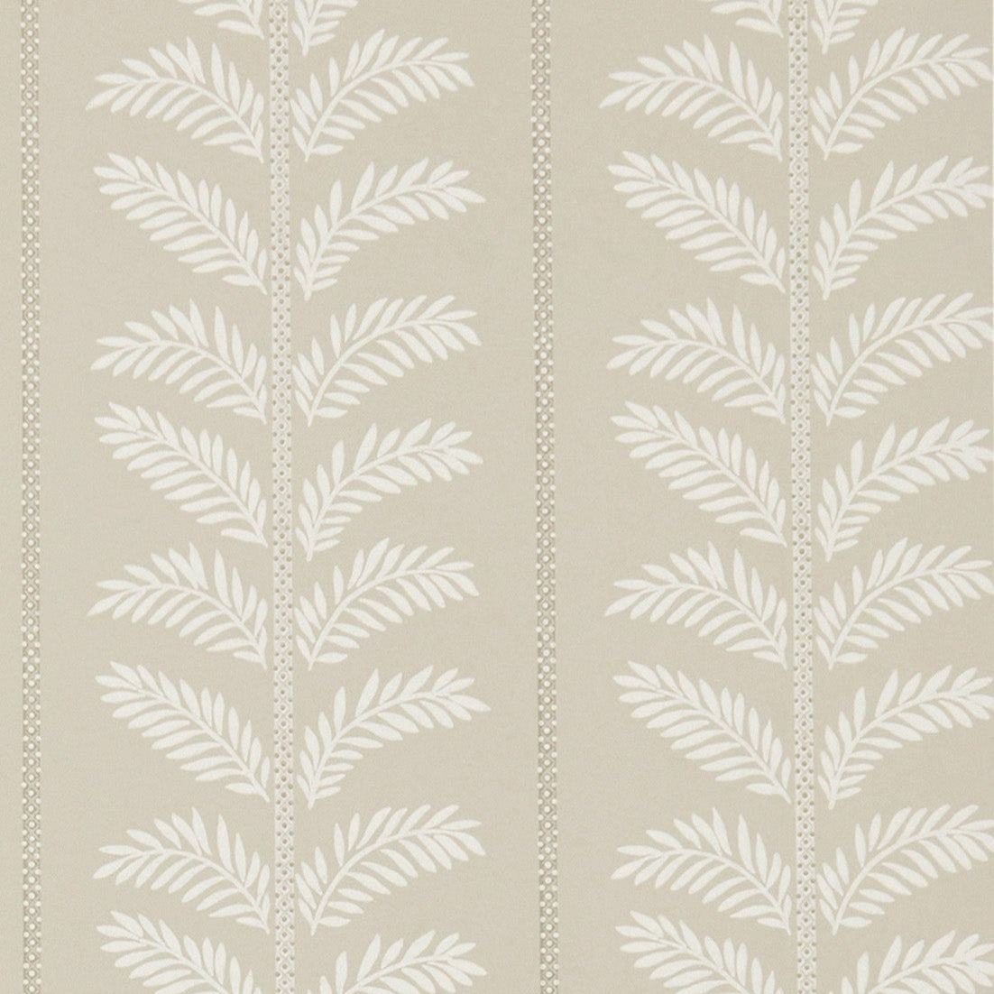 Signature Plumier NCW4496-06