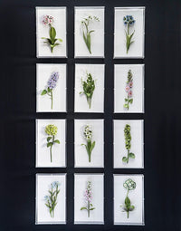 Handmade Metal Hyacinth Floral Study in Perspex