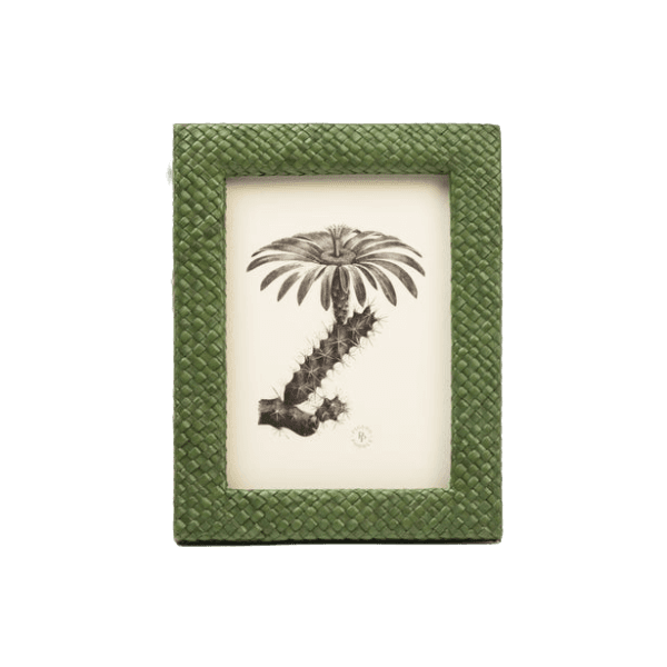 Nina Campbell Frame Uvita Dark Green 5x7