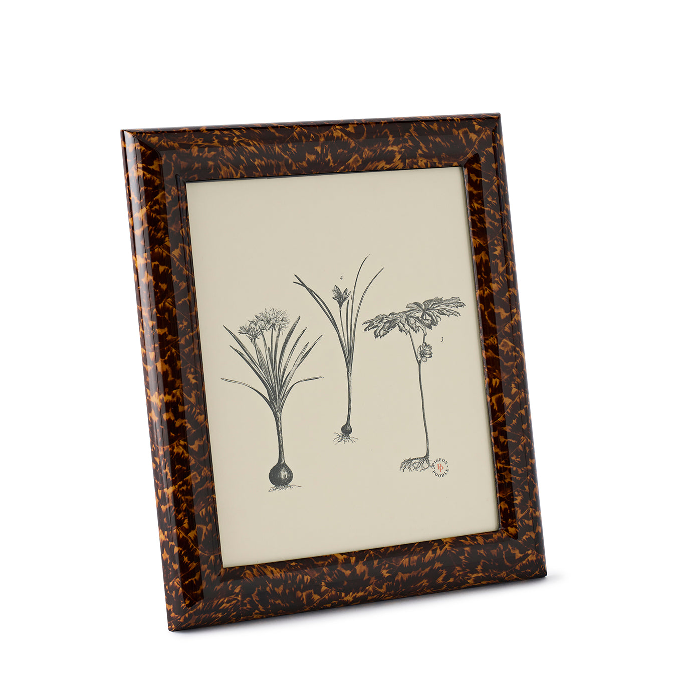 Dana Frame Gloss Tortoise 8x10