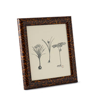 Dana Frame Gloss Tortoise 8x10