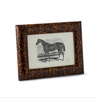 Dana Frame Gloss Tortoise 5x7