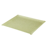 Nina Campbell Fabric Tray Large Peridot against a white background
