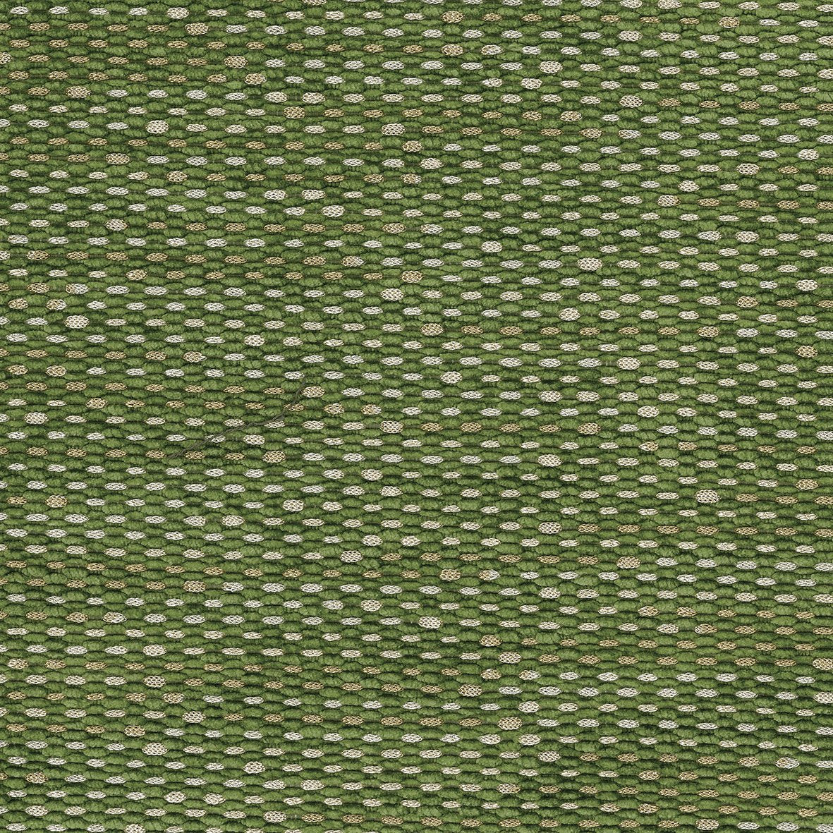 Poquelin Tartuffe Green/Soft Gold NCF4311-06