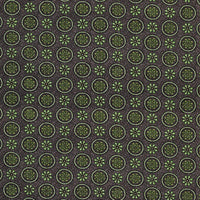 Les Indiennes Garance Green NCF4336-02