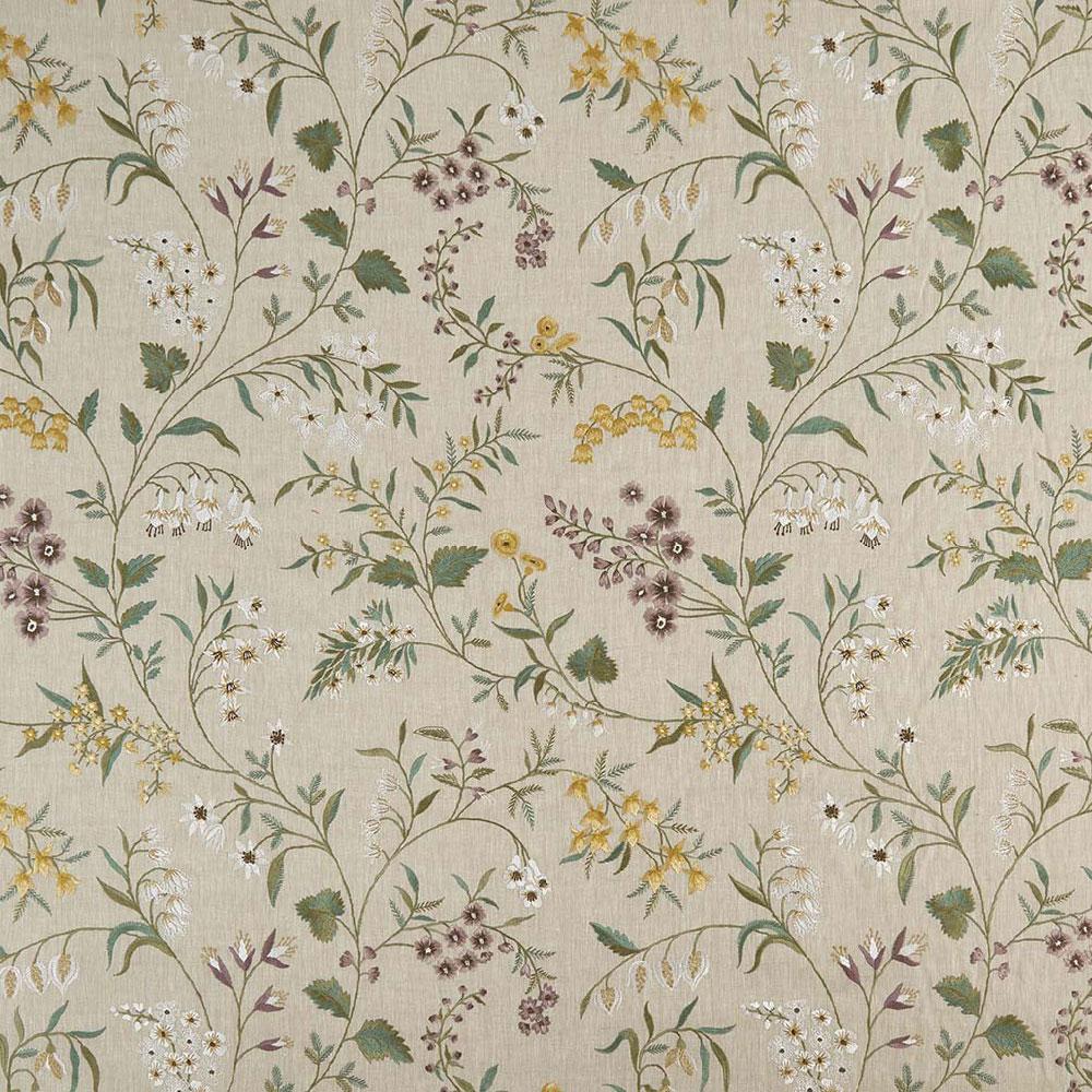 Parvani Almora NCF4404-01