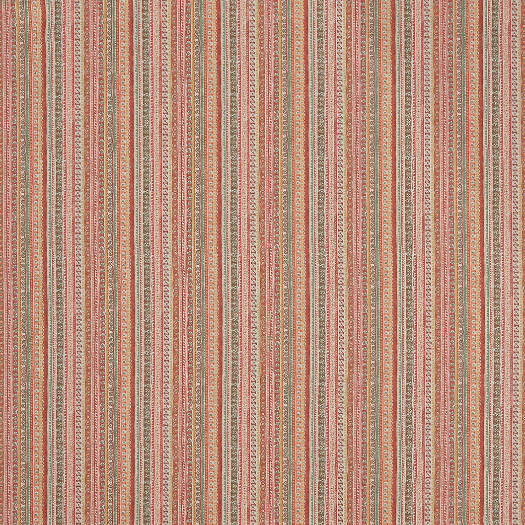 Macaranda Tigris NCF4435-03