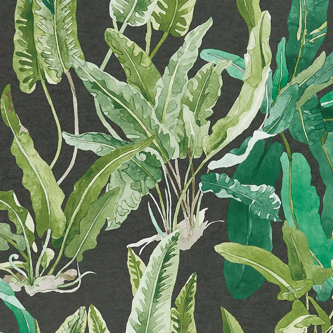 Nina Campbell Wallpaper - Ashdown Benmore Emerald/Green/Ebony NCW4393-01