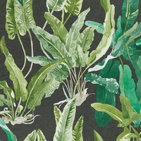 Ashdown Benmore Emerald/Green/Ebony NCW4393-01