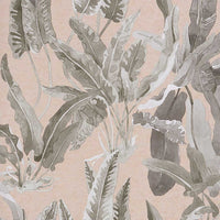Ashdown Benmore Blush/Grey NCW4393-06