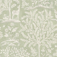 Signature Forêt NCW4490-04