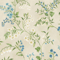 Signature Almora NCW4491-04