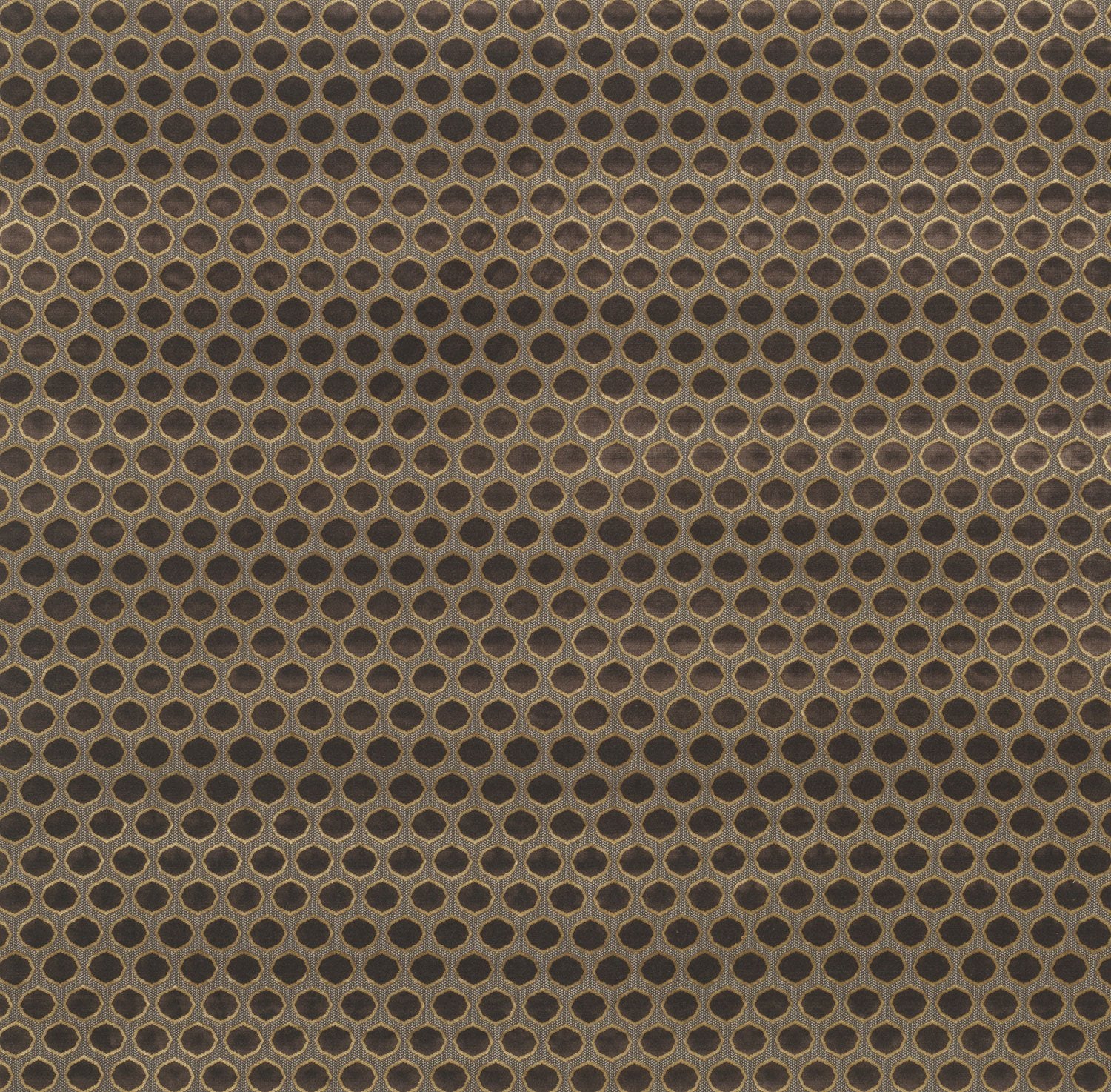 Gioconda Chocolate/Gold NCF4250-02