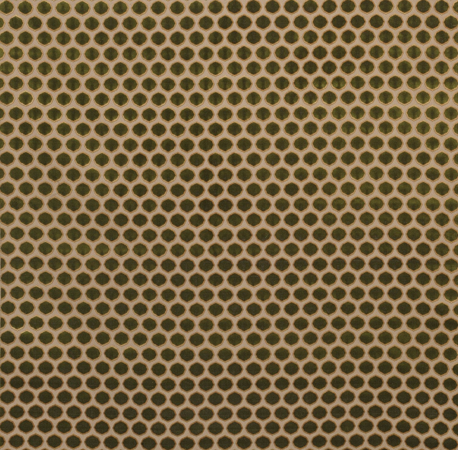 Nina Campbell Fabric - Gioconda Green/Gold NCF4250-05