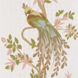 Paradiso Paradiso NCW4030-01