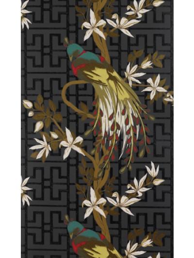 Paradiso Paradiso NCW4030-05