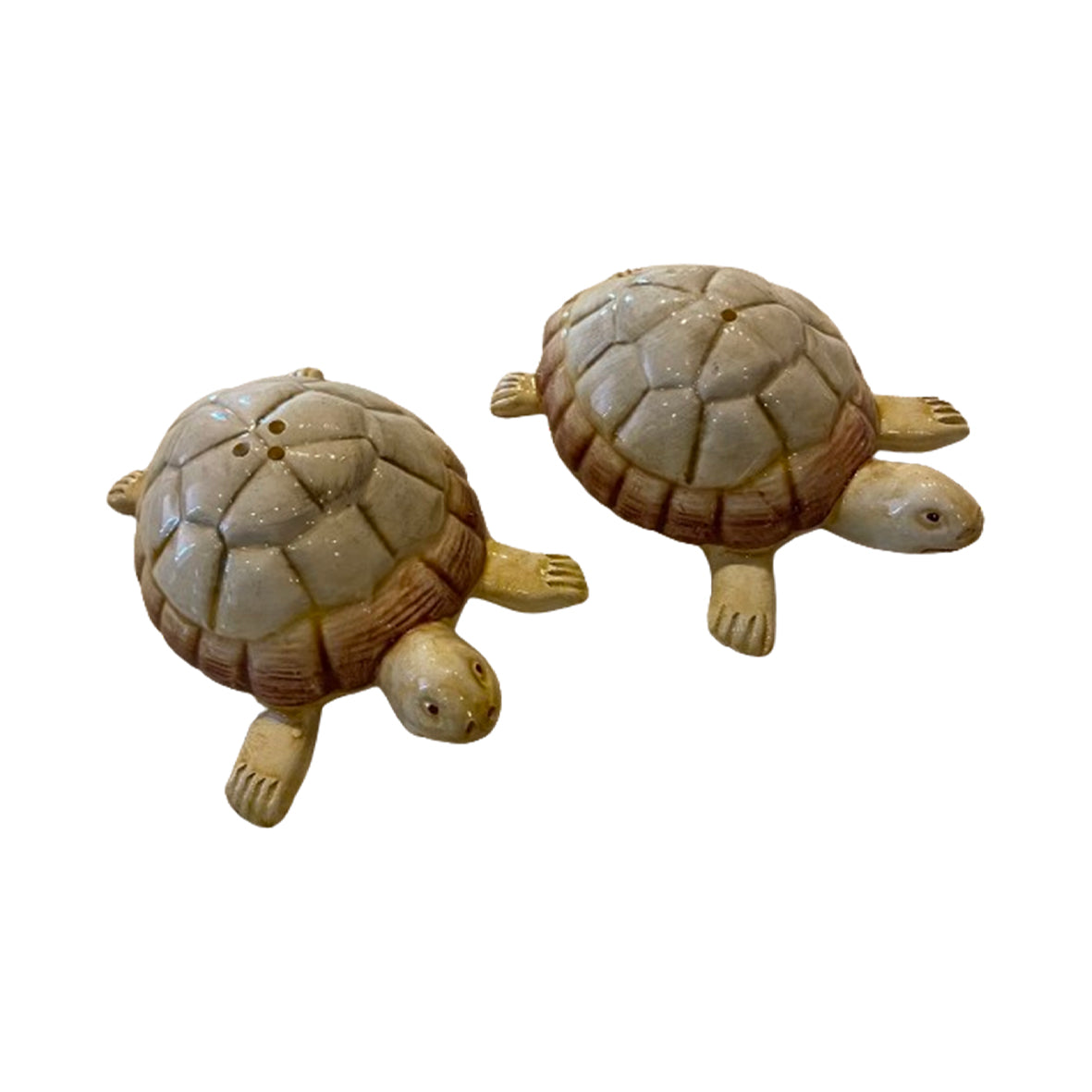 Ceramic Turtle Salt & Pepper Shakers