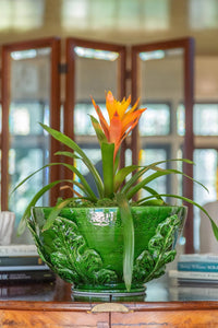 Nina Campbell ceramic leafy bowl in green on a table with a flower in it