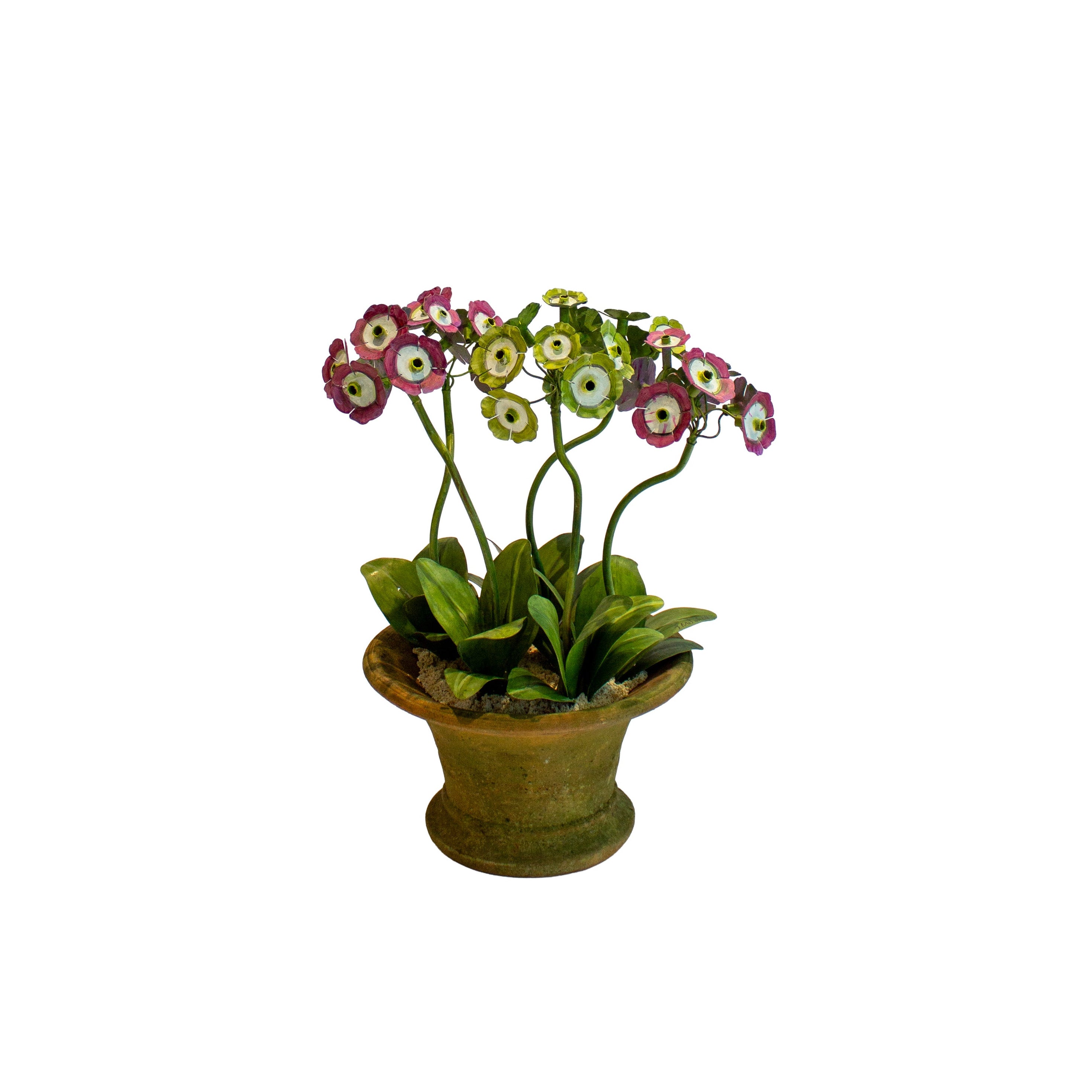 Handmade Metal Primula Auricula Potted Flower