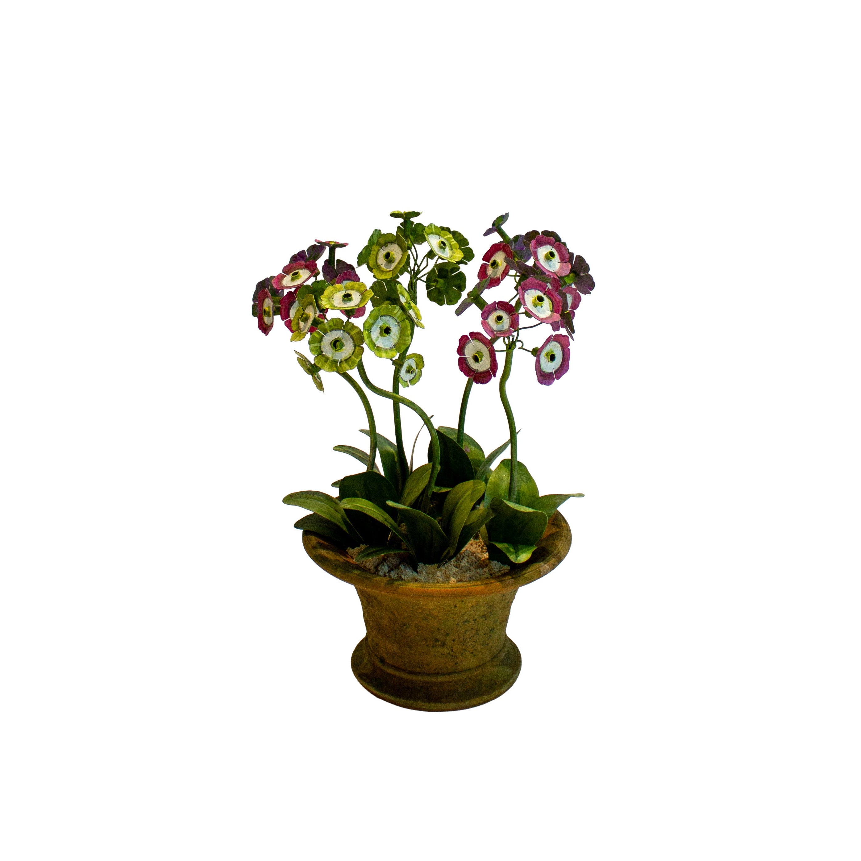 Handmade Metal Primula Auricula Potted Flower