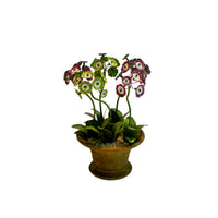 Handmade Metal Primula Auricula Potted Flower