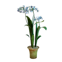 Handmade Metal Agapanthus Potted Flower
