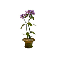 Handmade Metal Clematis Potted Flower