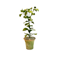 Handmade Metal Euphorbia Potted Flower