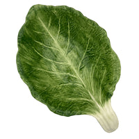 Radicchio Salad Bowl - Green