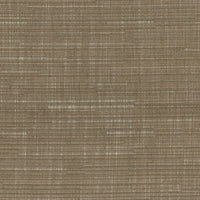 Farnaz Weaves Adria Taupe NCF4570-01