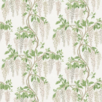 Bourton Wisteria Walk White/Green NCF4605-01