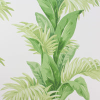 Coromandel Palmetto Green/Ivory NCW4274-01