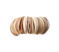 Shell Napkin Ring