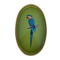 Nina Campbell Iron Tray Oval Parrot against a white background