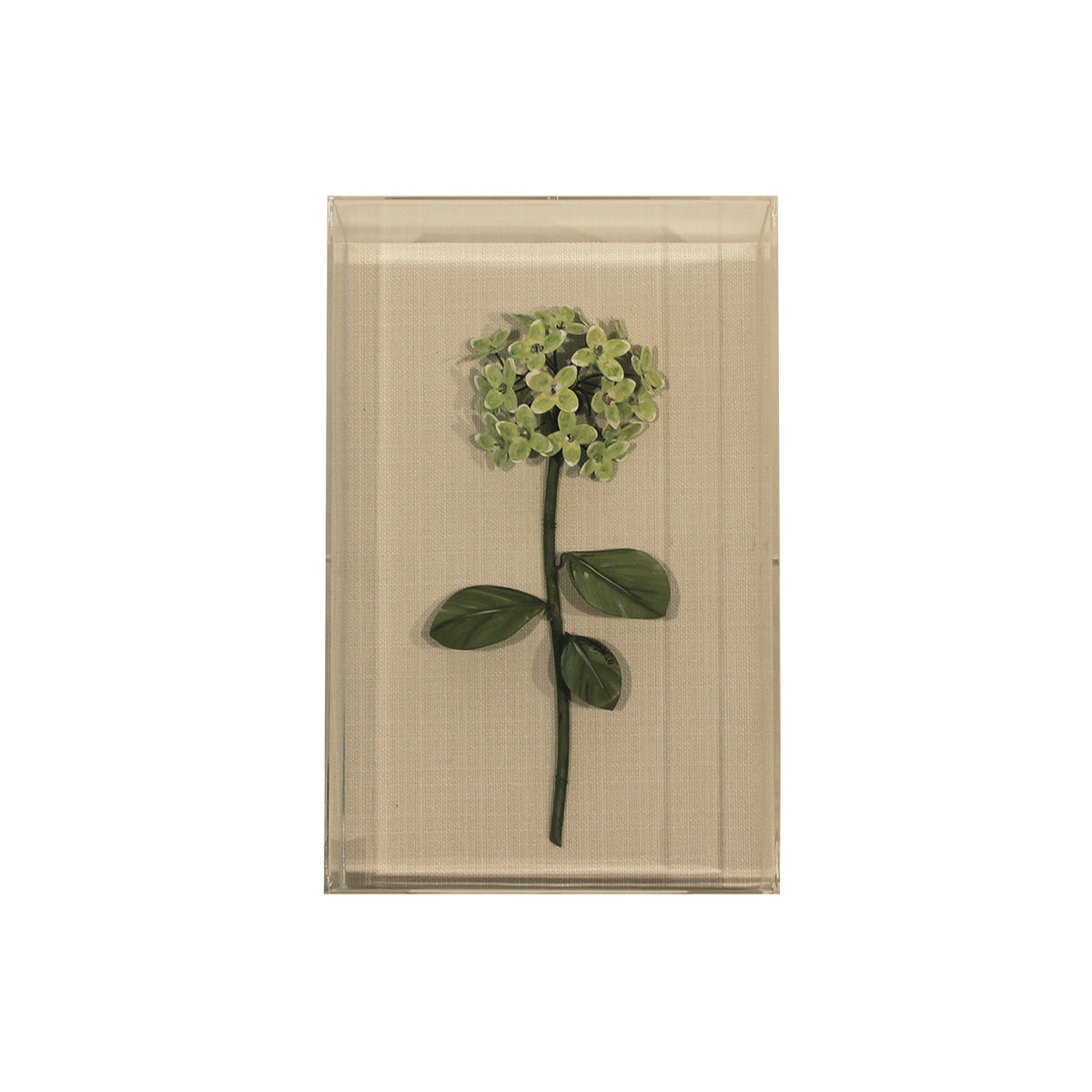 Handmade Metal Hydrangea Floral Study in Perspex